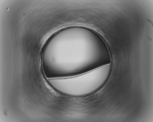 X0000103131511200808221030