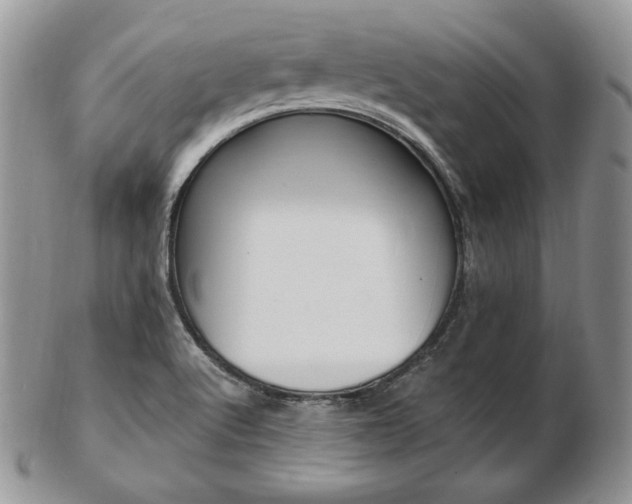 X0000103131512200808221030