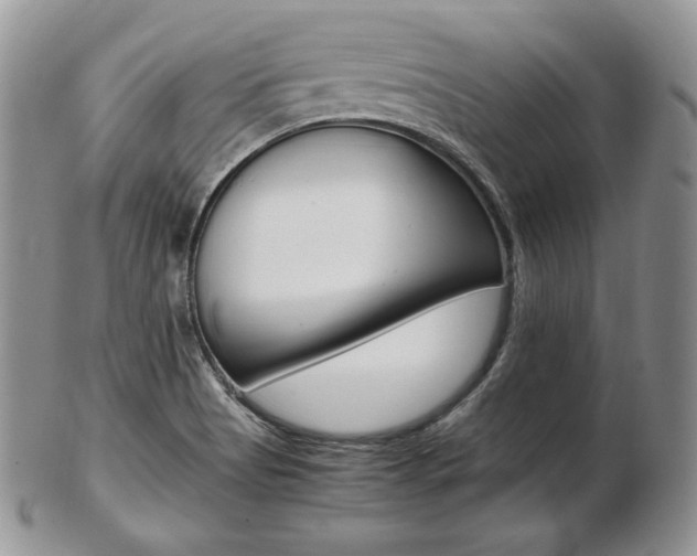 X0000103131513200808221030