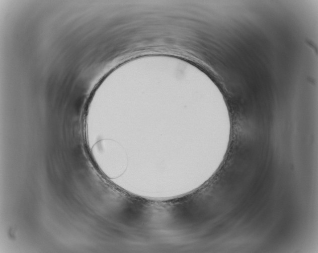 X0000103131514200808221030