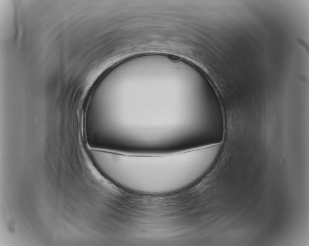 X0000103131515200808221030