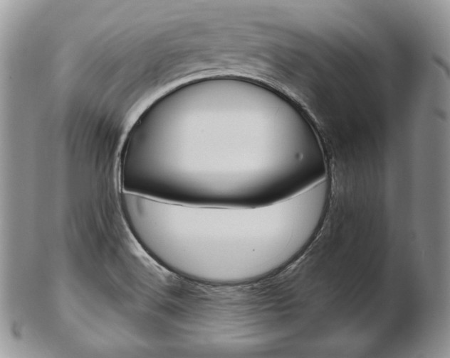 X0000103131516200808221030