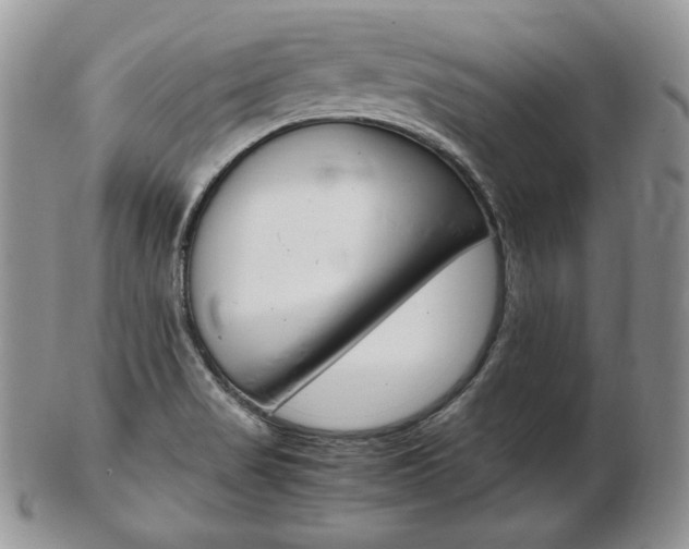 X0000103131517200808221030