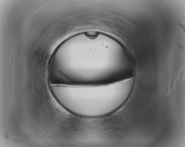 X0000103131518200808221030