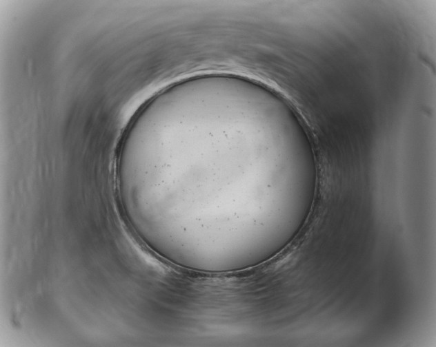 X0000103131519200808221030