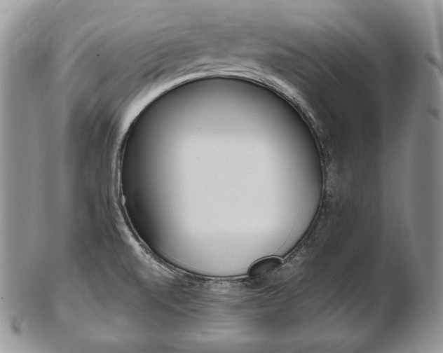 X0000103131520200808221030