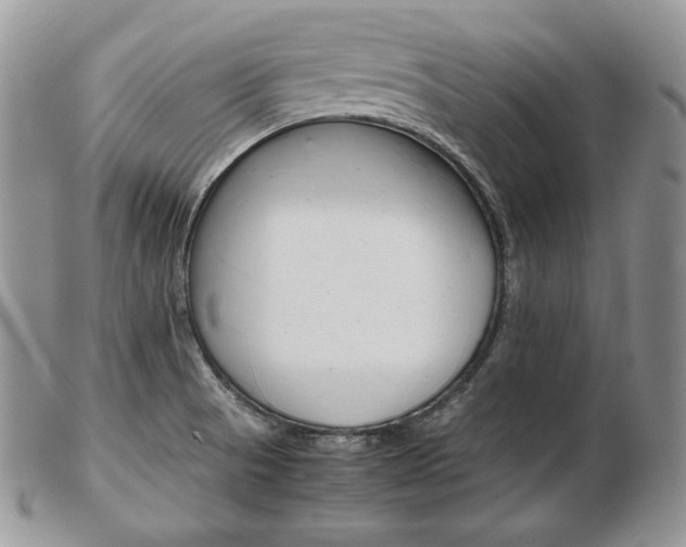 X0000103131521200808221030