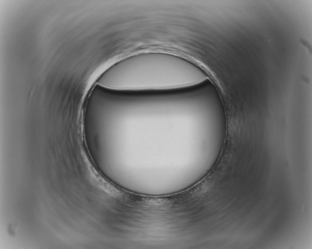 X0000103131522200808221030