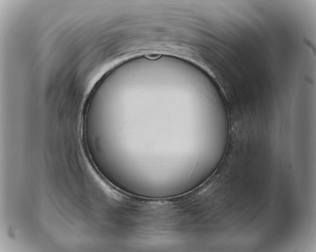 X0000103131523200808221030