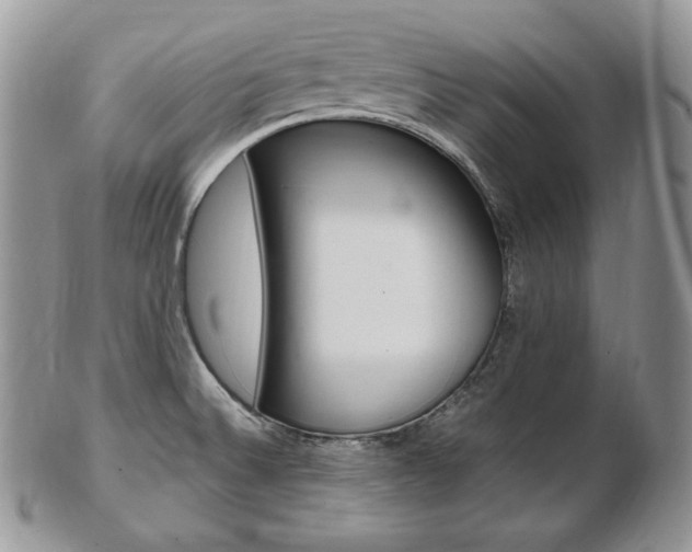 X0000103131524200808221030