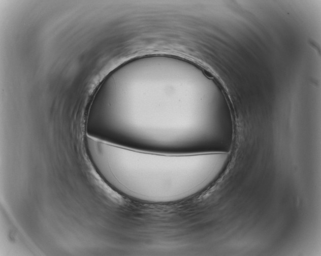X0000103131525200808221030