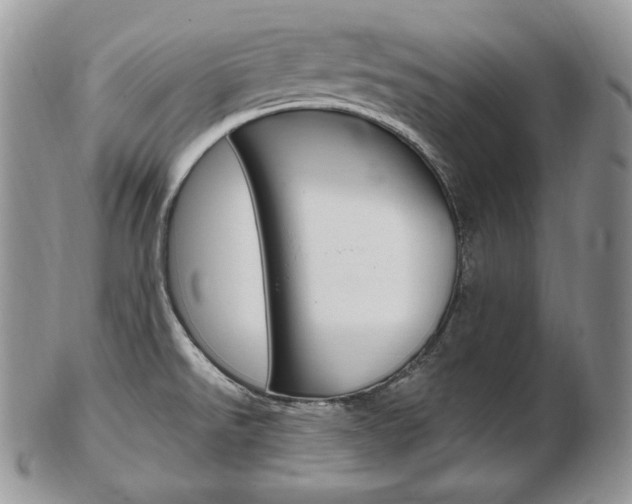 X0000103131526200808221030