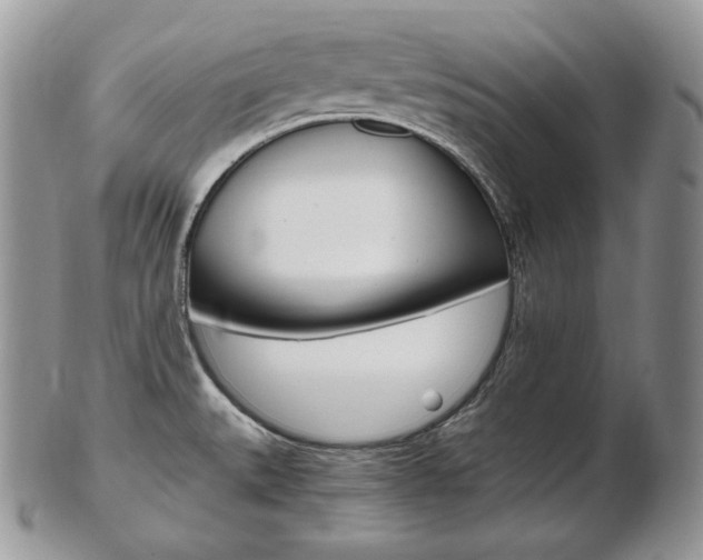 X0000103131527200808221030