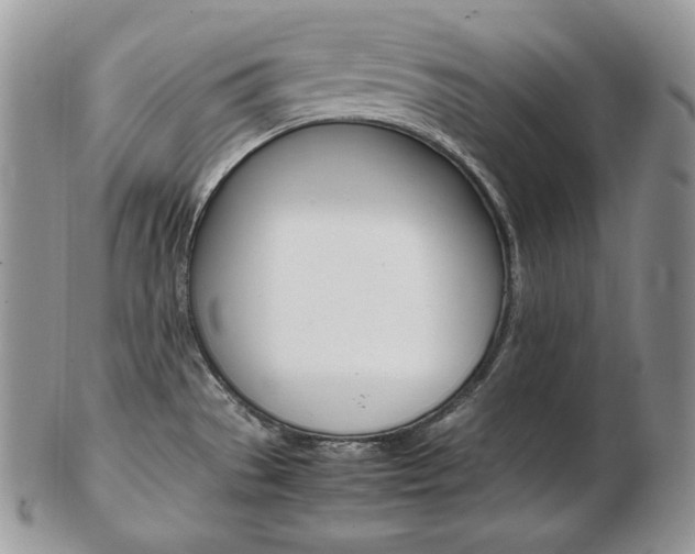 X0000103131529200808221030