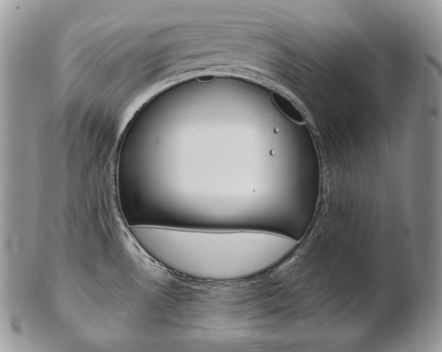 X0000103131530200808221030