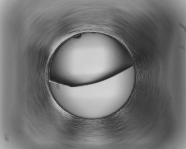 X0000103131531200808221030