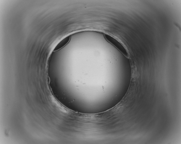 X0000103131532200808221030