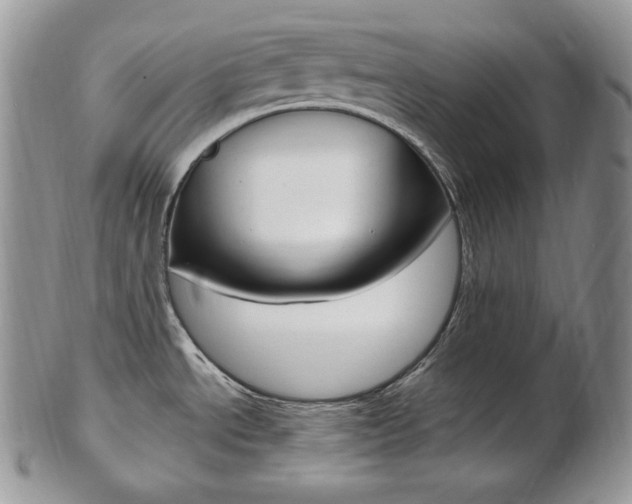 X0000103131534200808221030