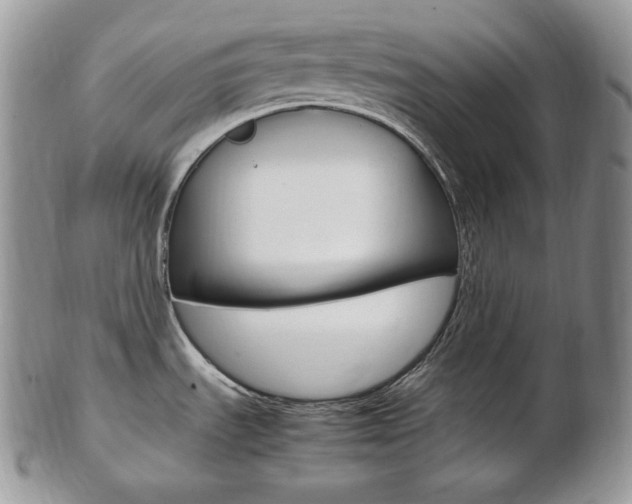 X0000103131535200808221030
