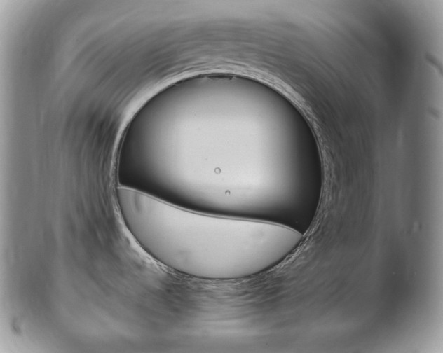 X0000103131536200808221030