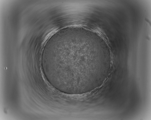 X0000103130001200808221204