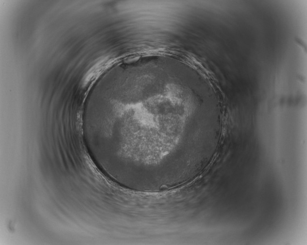 X0000103130002200808221204