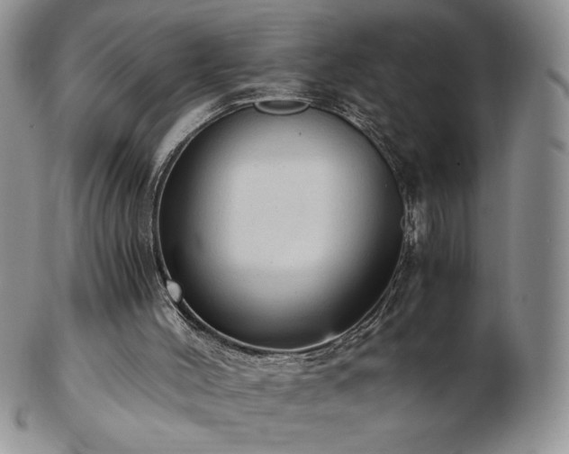 X0000103130004200808221204