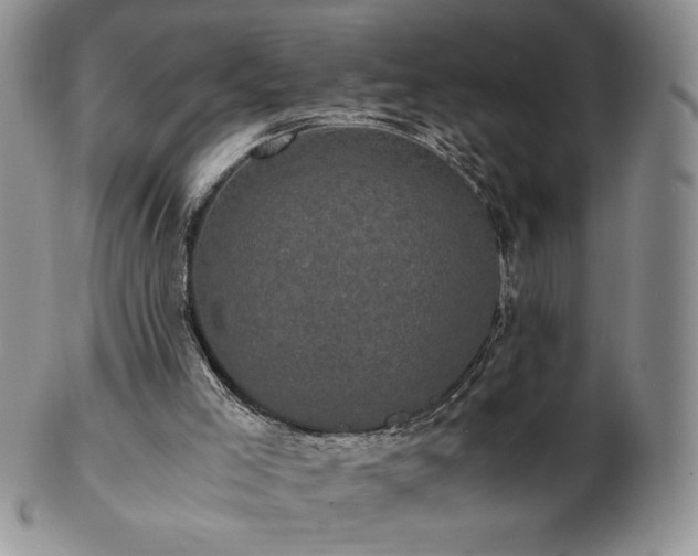 X0000103130005200808221204
