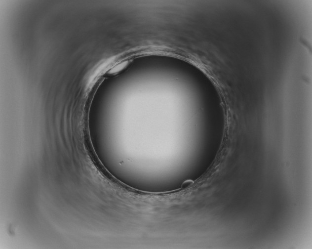 X0000103130007200808221204