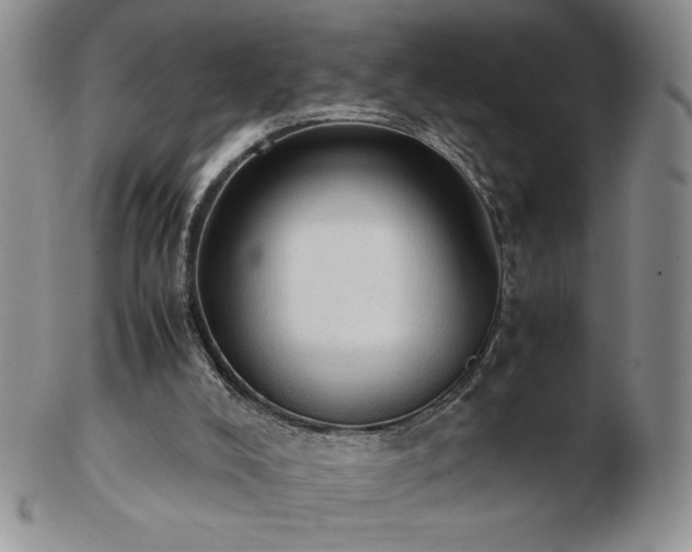 X0000103130008200808221204
