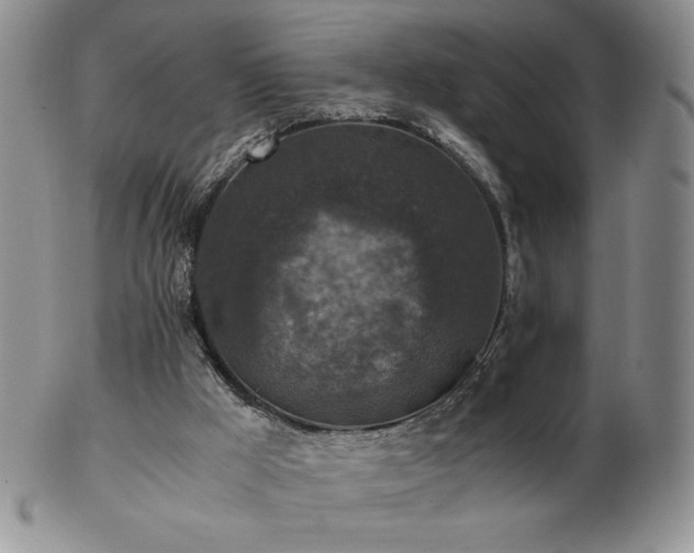 X0000103130009200808221204