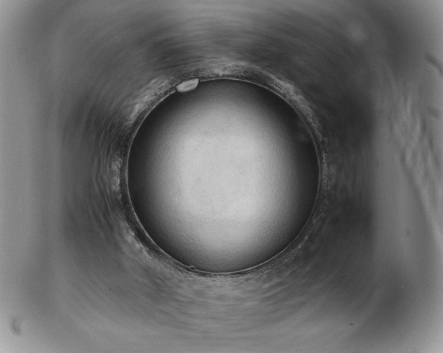X0000103130010200808221204