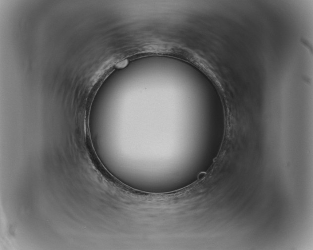 X0000103130011200808221204