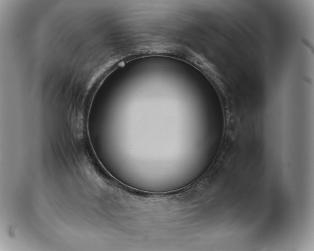 X0000103130012200808221204