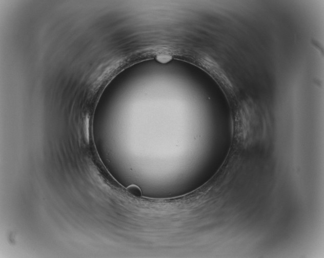 X0000103130014200808221204