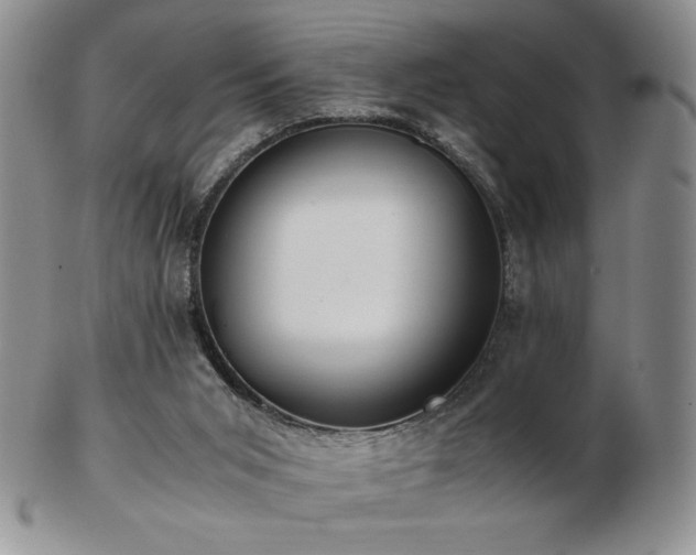 X0000103130015200808221204