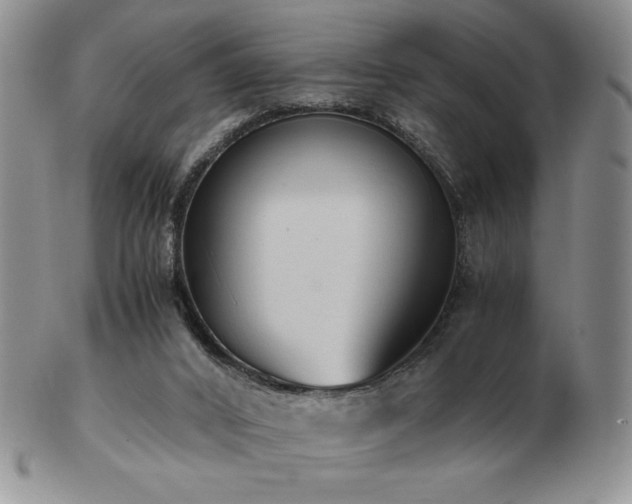 X0000103130016200808221204