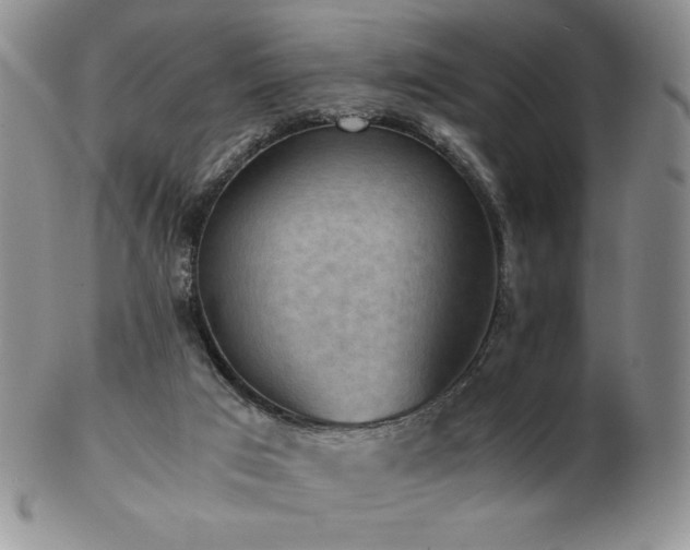 X0000103130017200808221204