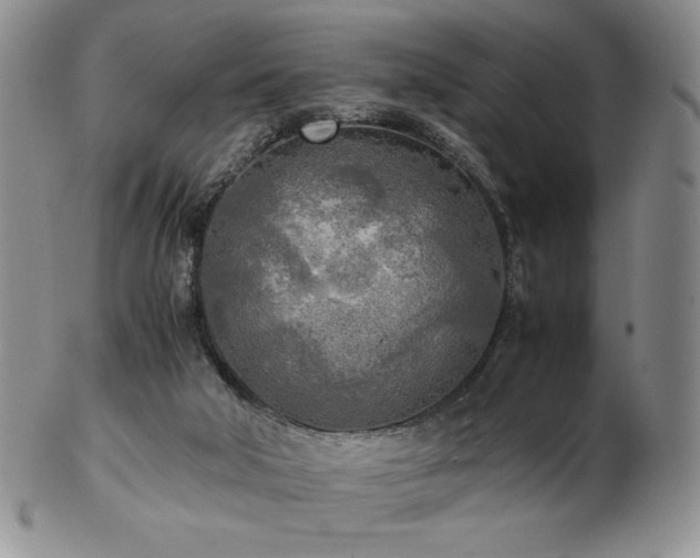 X0000103130018200808221204