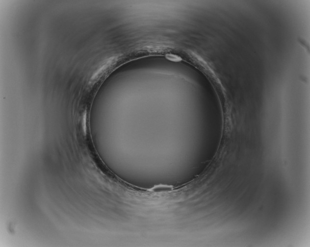 X0000103130019200808221204