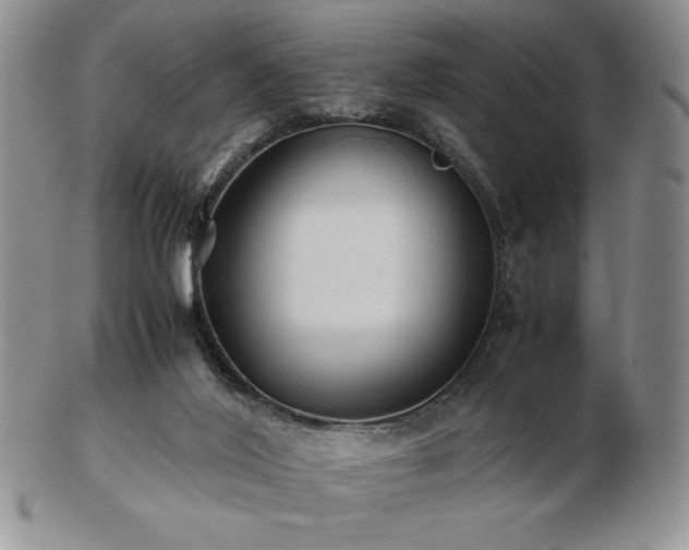 X0000103130020200808221204