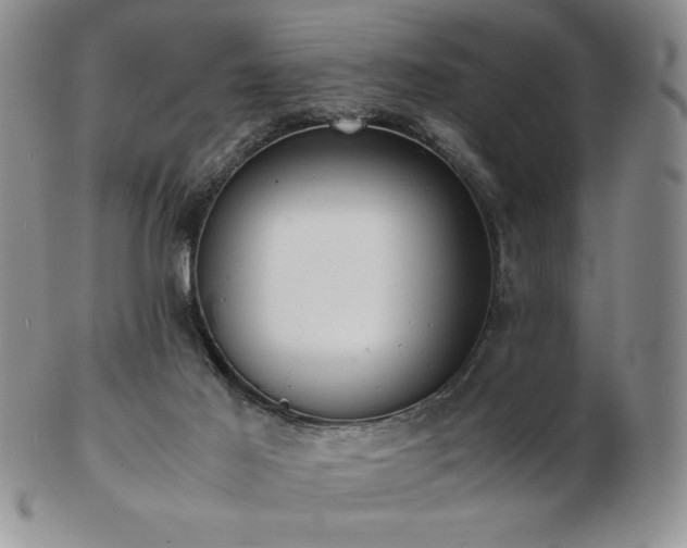 X0000103130021200808221204