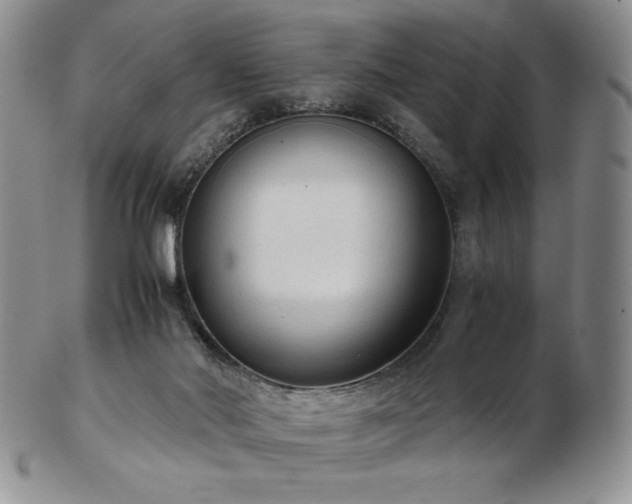 X0000103130022200808221204