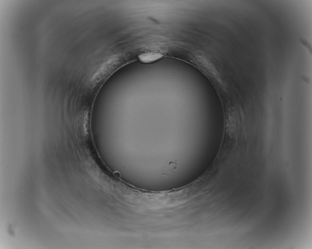 X0000103130023200808221204