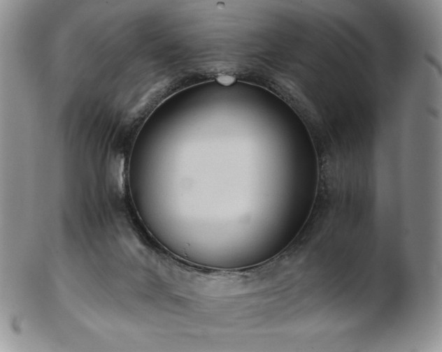 X0000103130024200808221204