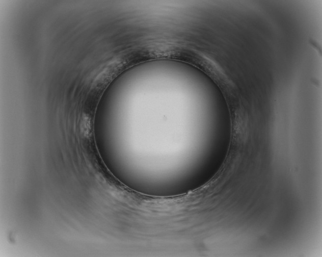 X0000103130025200808221204