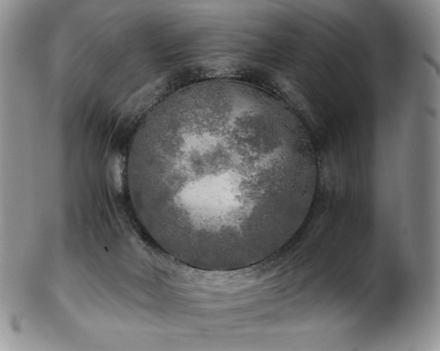 X0000103130026200808221204