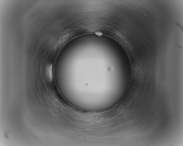X0000103130028200808221204