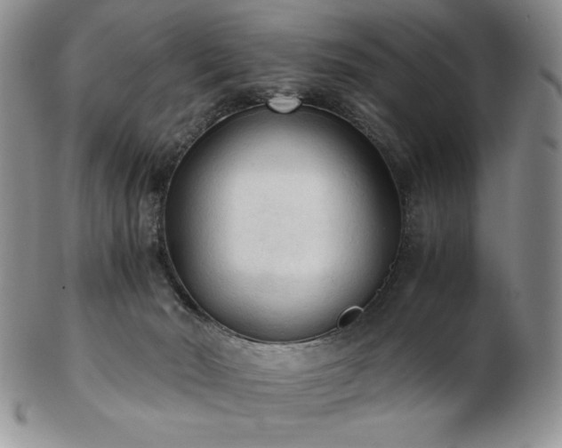 X0000103130030200808221204
