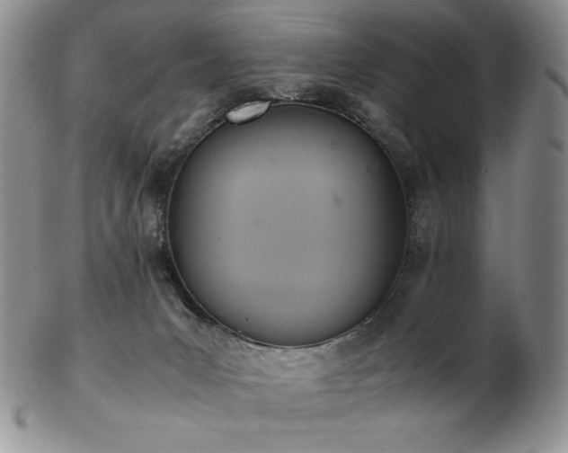 X0000103130031200808221204